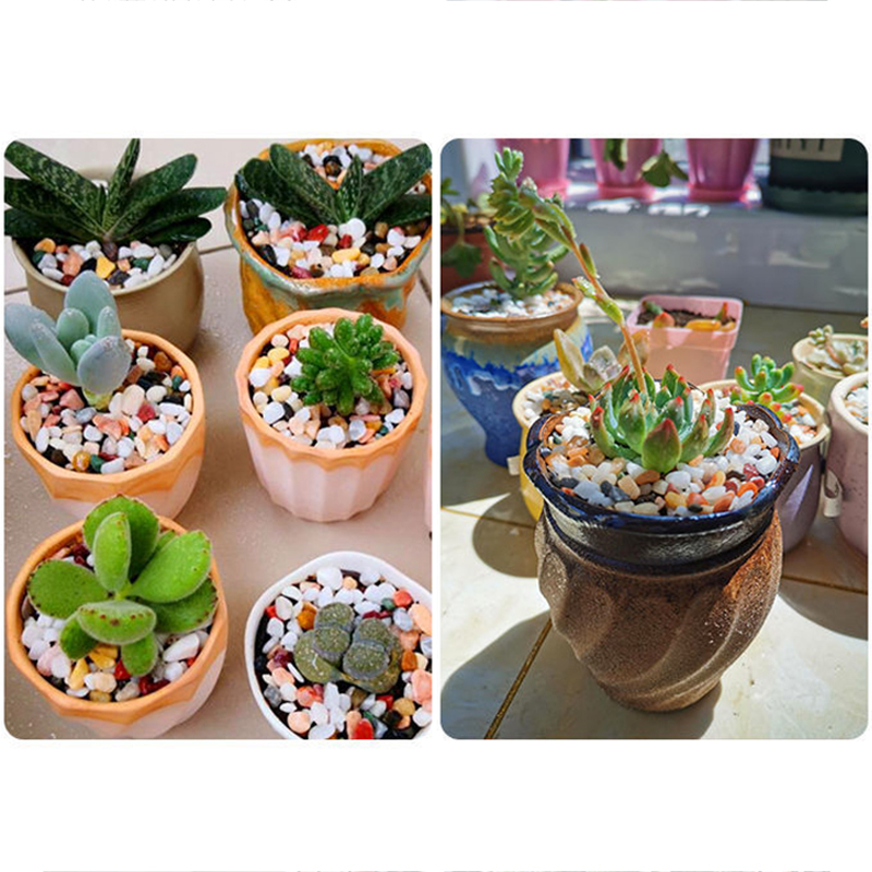 Pietra di ghiaia naturale 200~ - Planted Aquarium With Sand recensione e prezzo
