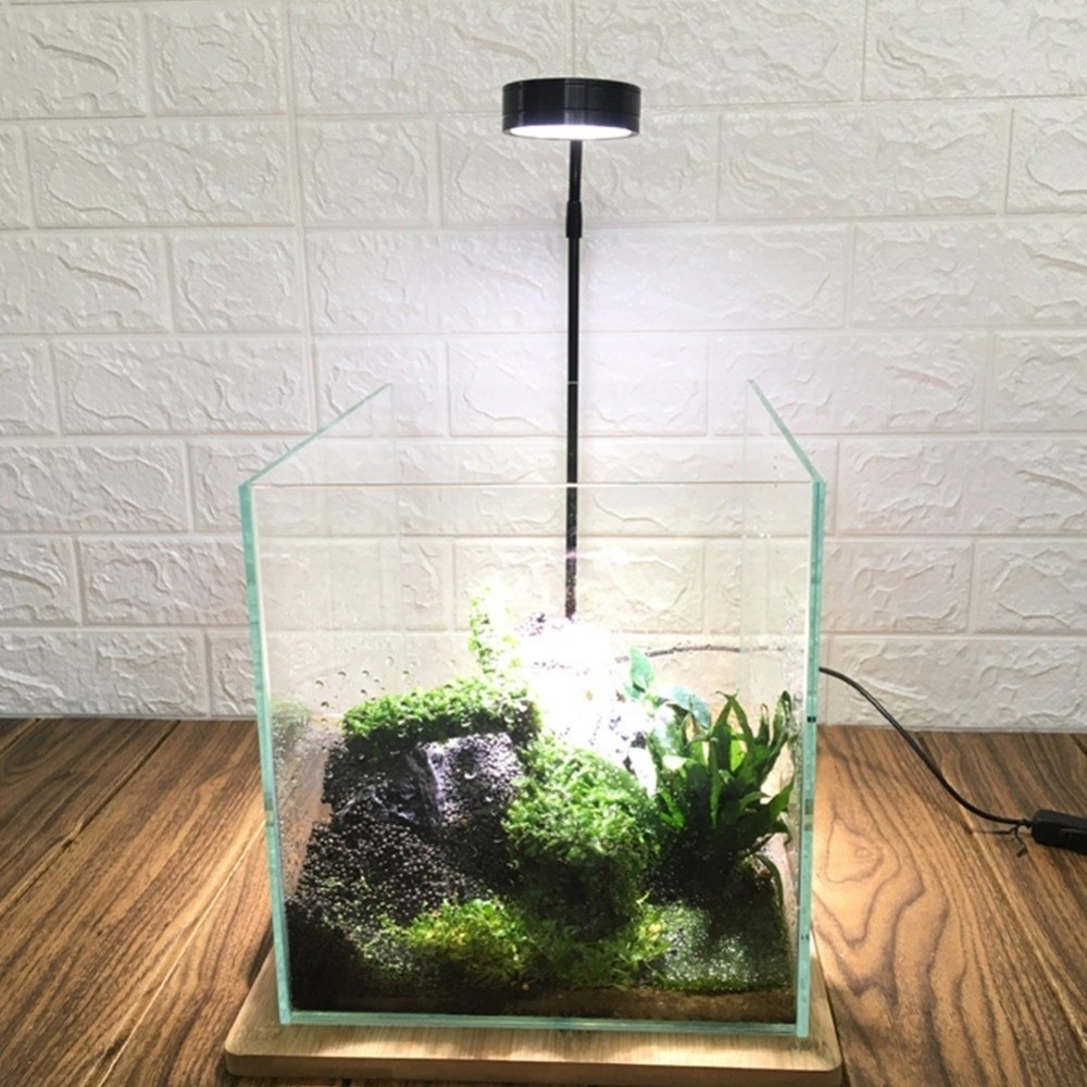 Lampada a LED per acquario da  - Aquarium Plant On Wood recensione e prezzo