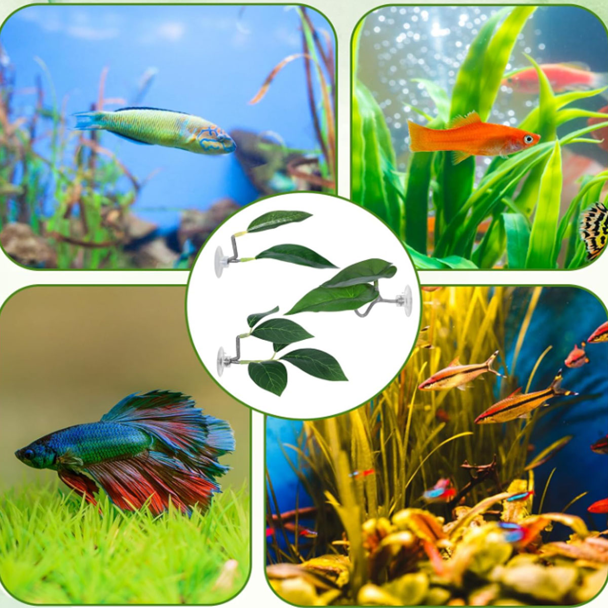 1 Amaca per Pesci Betta, Decor - Aquarium Plant Design recensione e prezzo