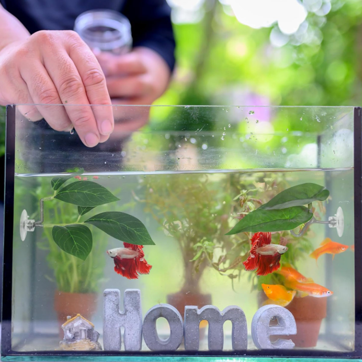 1 Amaca per Pesci Betta, Decor - Aquarium Plant Design recensione e prezzo