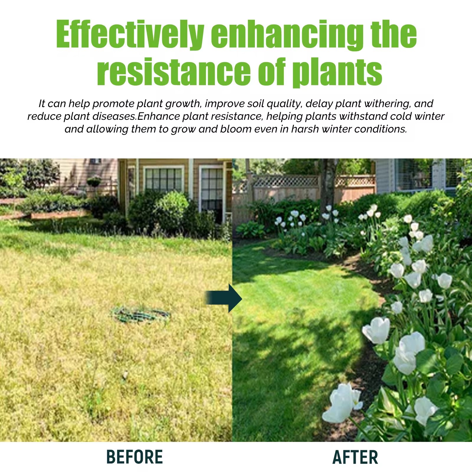 MOONSPRY Liquido nutriente per - Liquid Fertilizer All In recensione e prezzo