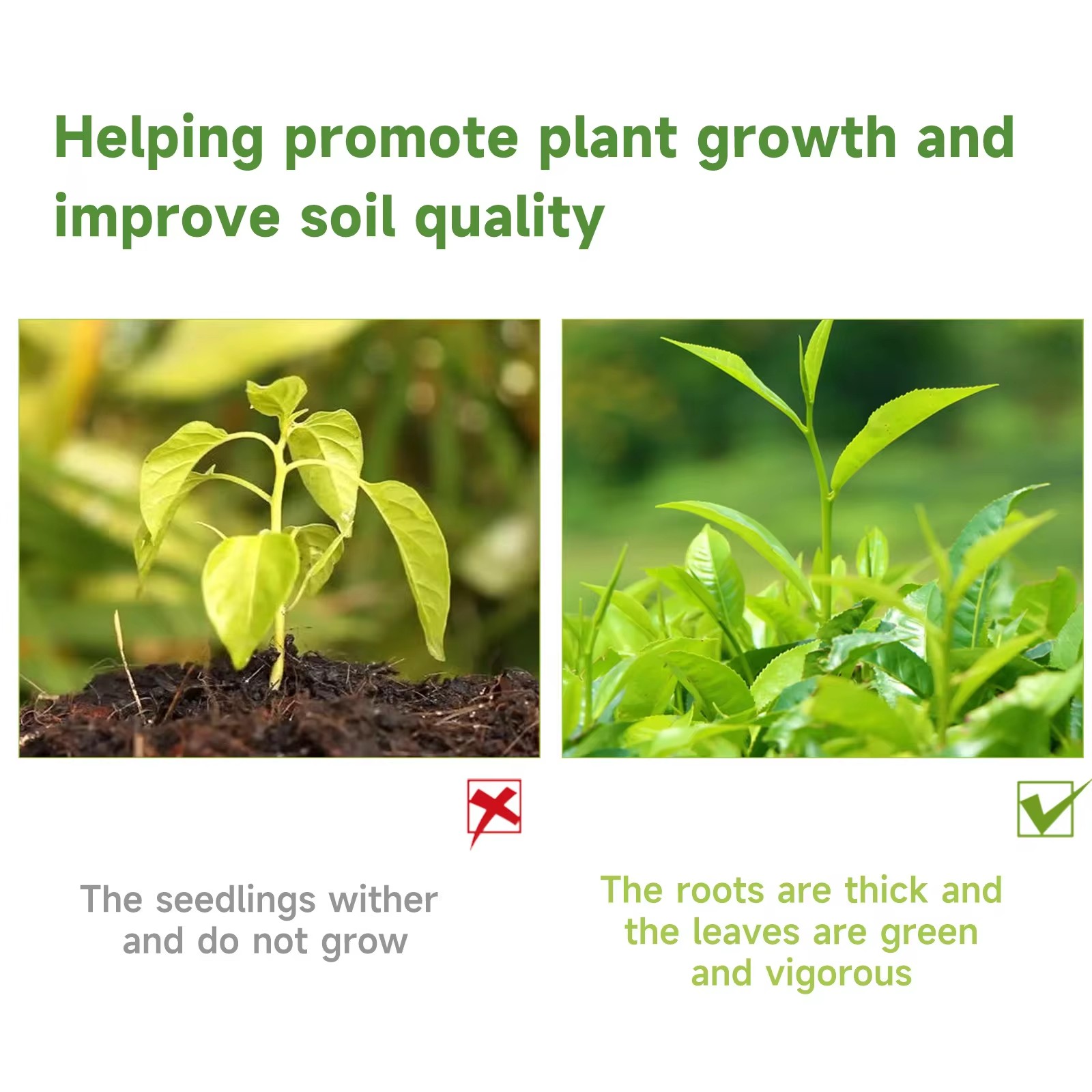 MOONSPRY Liquido nutriente per - Liquid Fertilizer All In recensione e prezzo