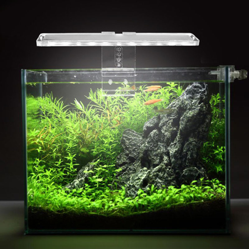 Lampada per acquario a LED luc - Planted Aquarium Best Fish recensione e prezzo