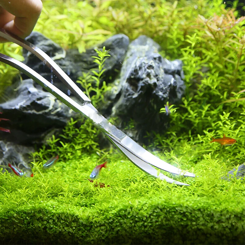 Strumenti per forbici per acqu - Planted Aquarium Maintenance Kit recensione e prezzo