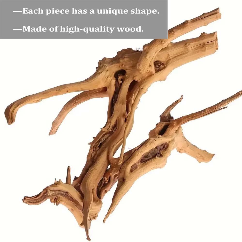 Legno Naturale per Acquario 20 - Planted Aquarium Bowl recensione e prezzo