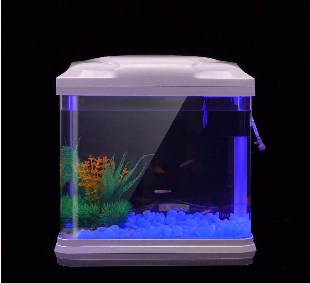 Rocce per acquari che si illum - Aquarium Planted Fish recensione e prezzo