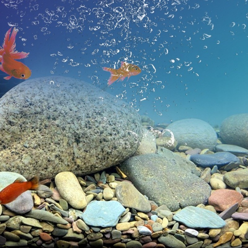 Sabbia per Acquario con Ciotto - Planted Aquarium With Sand recensione e prezzo