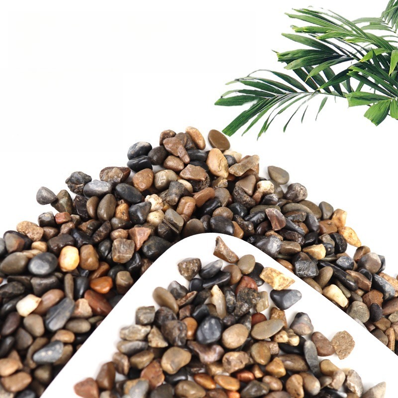 Sabbia per Acquario con Ciotto - Planted Aquarium With Sand recensione e prezzo