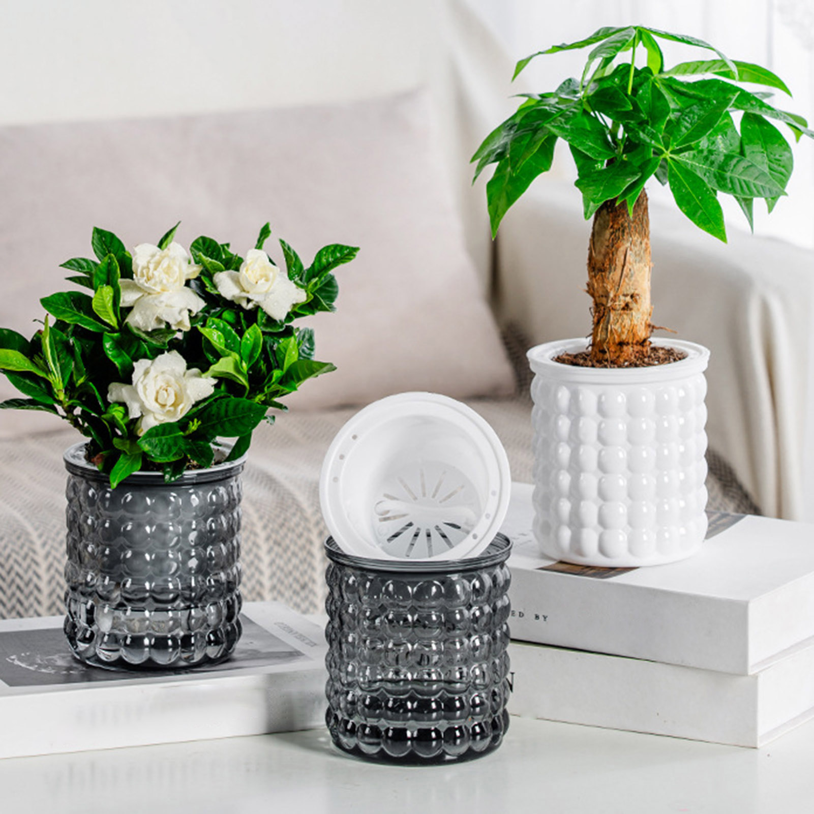 Nuovo vaso per piante idroponi - Tissue Culture Plant recensione e prezzo