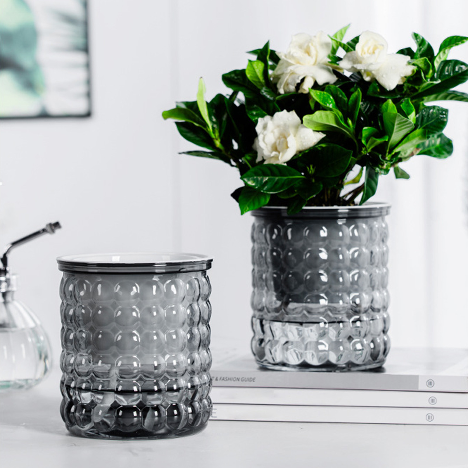 Nuovo vaso per piante idroponi - Tissue Culture Plant recensione e prezzo