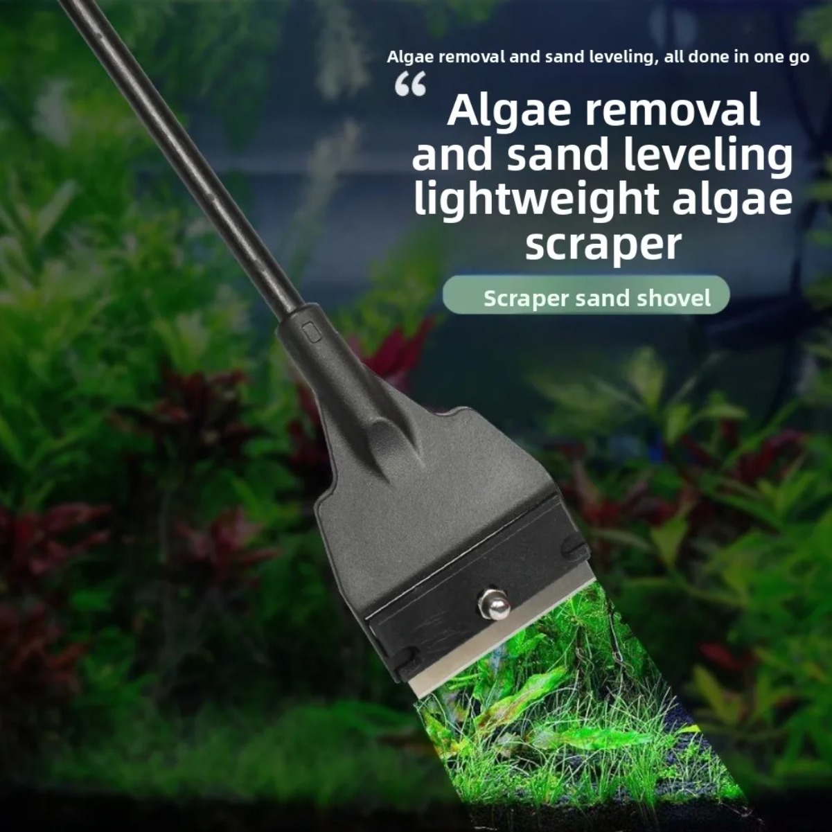 Raschietto per Alghe in Vetro  - Planted Aquarium With Sand recensione e prezzo