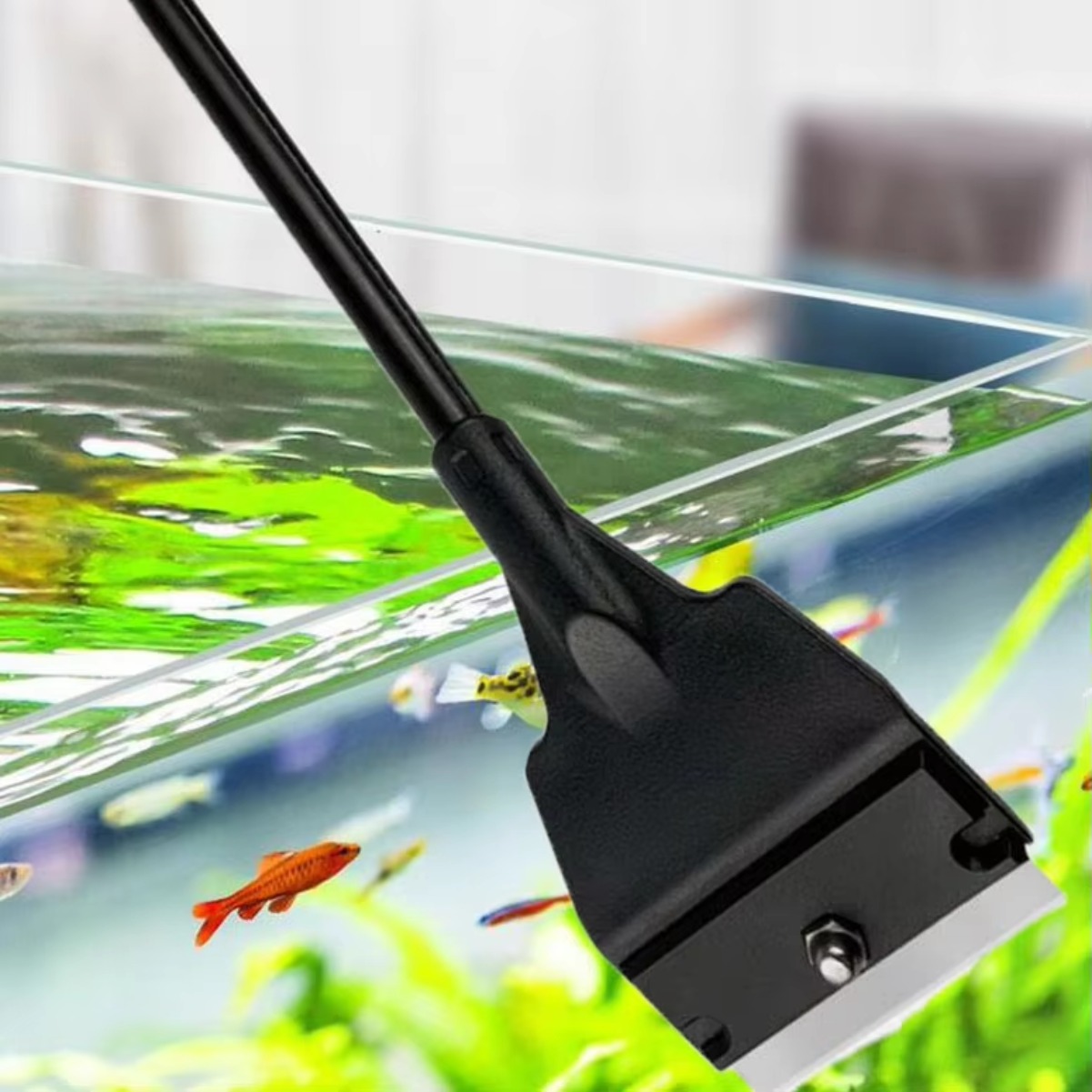 Raschietto per Alghe in Vetro  - Planted Aquarium With Sand recensione e prezzo