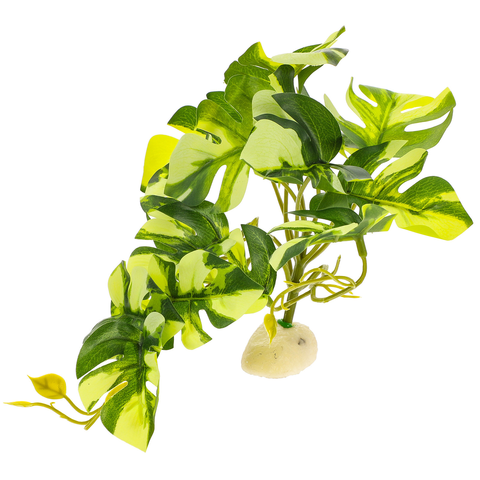 Pianta di Monstera Realistica  - Aquarium Planted Fish recensione e prezzo