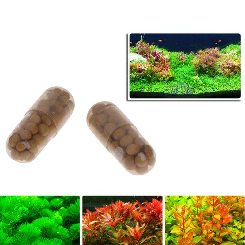 QX2E Acquario Pianta Viva Fert - Planted Aquarium Best Fish recensione e prezzo