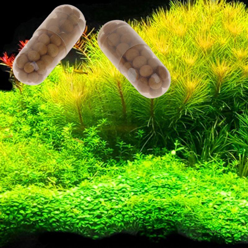 QX2E Acquario Pianta Viva Fert - Planted Aquarium Best Fish recensione e prezzo
