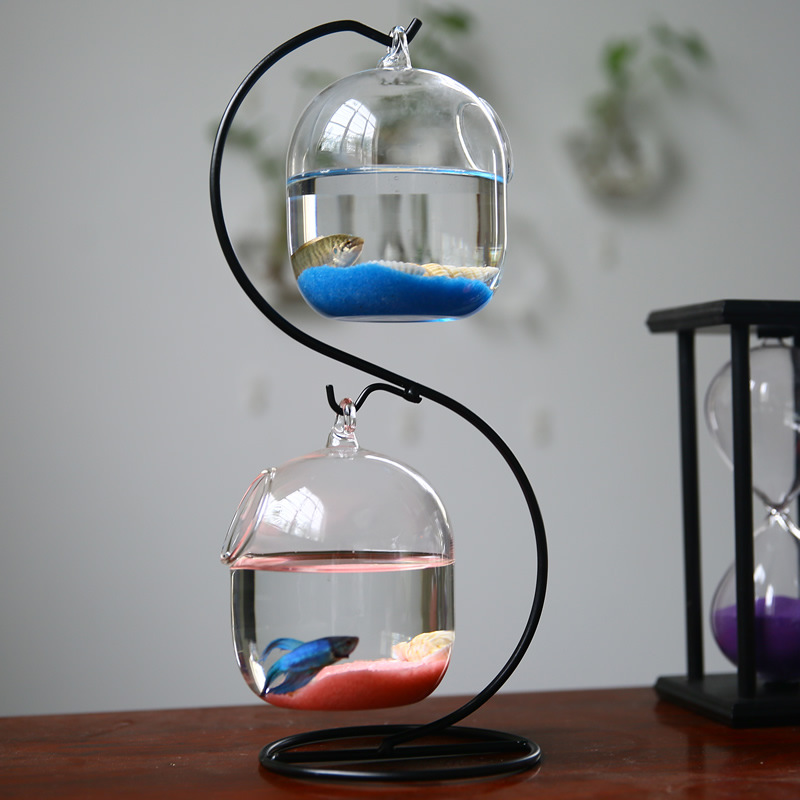 Creativo a due piani sospeso t - Planted Aquarium Bowl recensione e prezzo