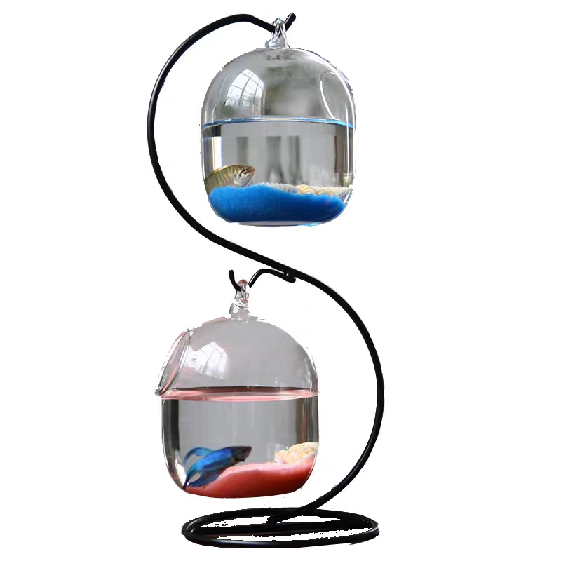Creativo a due piani sospeso t - Planted Aquarium Bowl recensione e prezzo