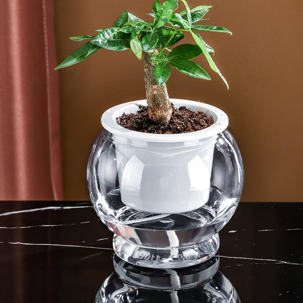 Acquario da banco per acquapon - Planted Aquarium Bowl recensione e prezzo