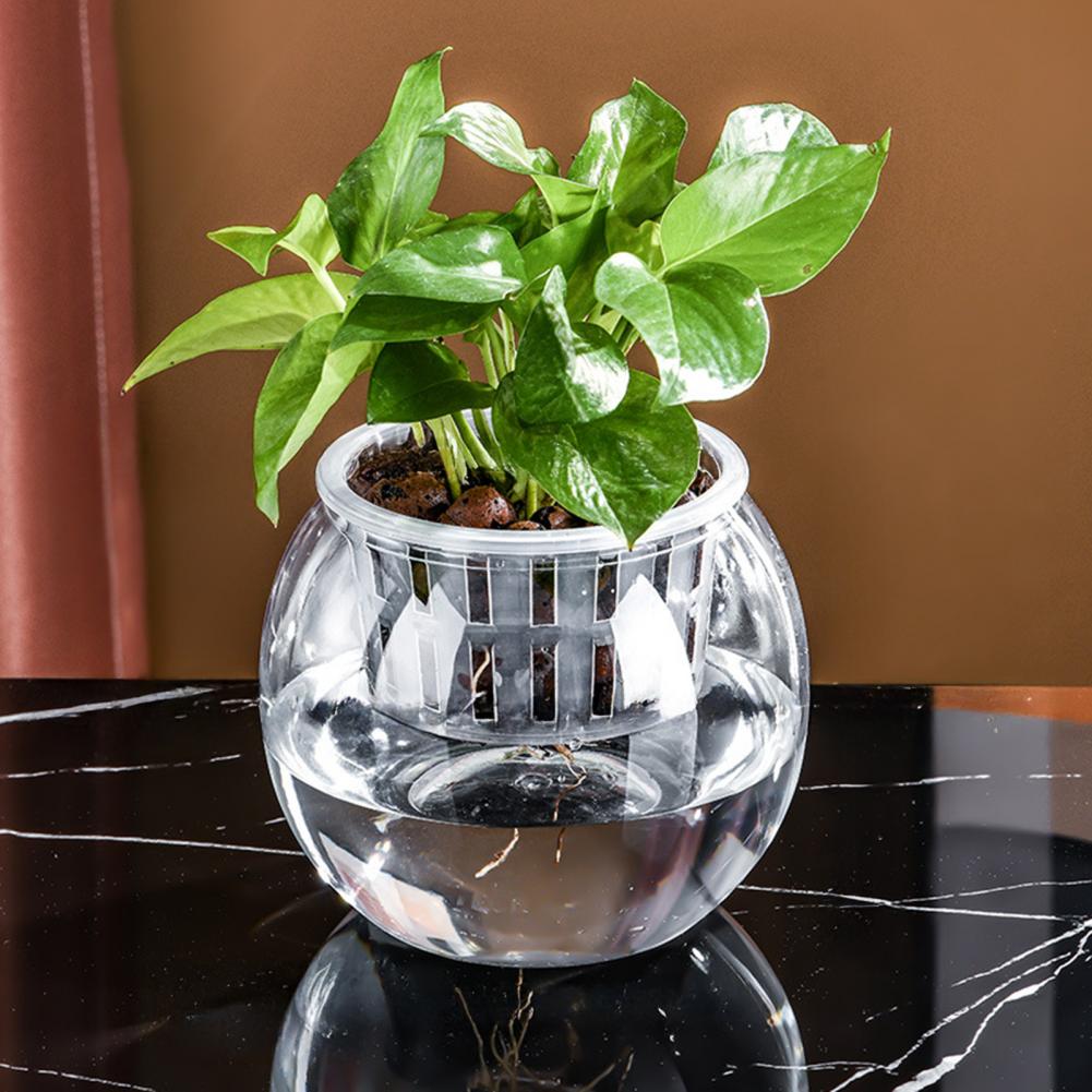 Acquario da banco per acquapon - Planted Aquarium Bowl recensione e prezzo