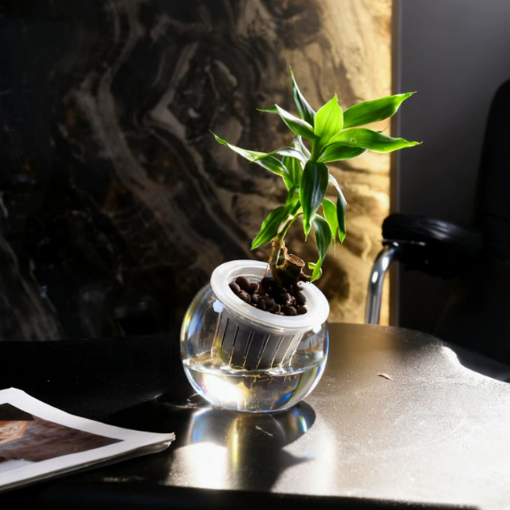 Acquario da banco per acquapon - Planted Aquarium Bowl recensione e prezzo