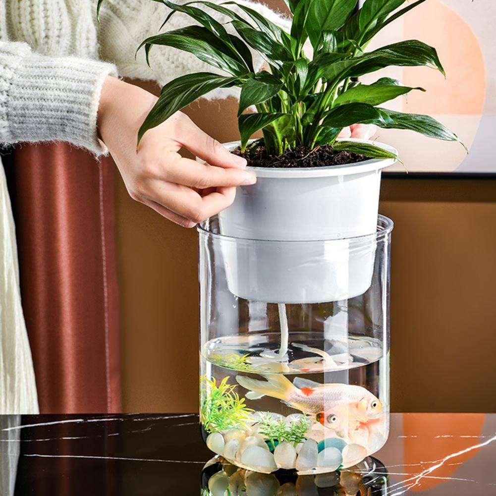 Acquario da banco per acquapon - Planted Aquarium Bowl recensione e prezzo