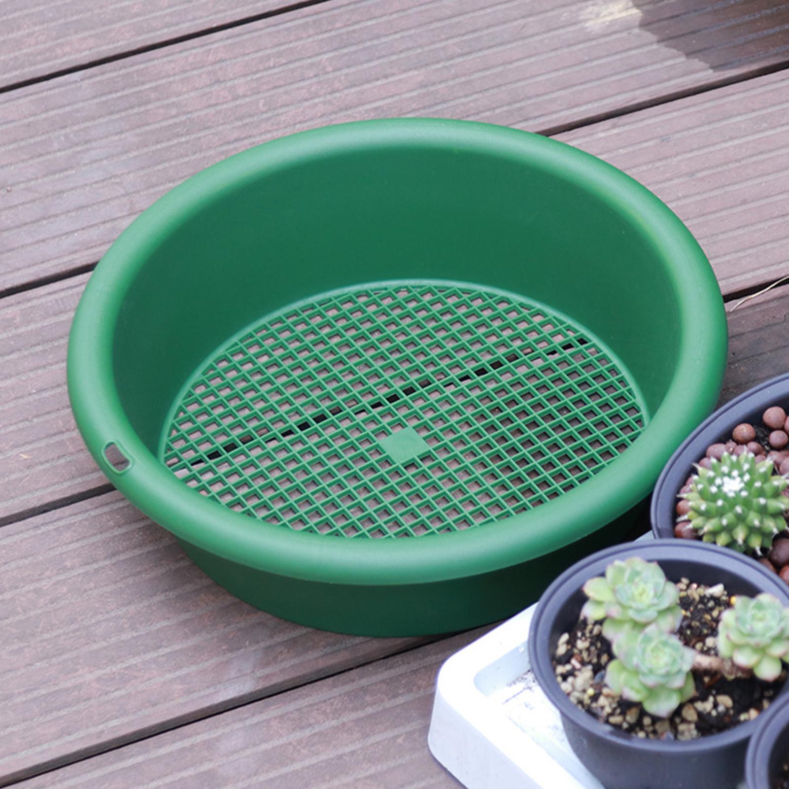 Setaccio per rocce in acciaio  - Tissue Culture Plant recensione e prezzo