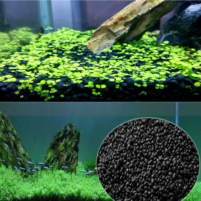 Sabbia per pesci Auarium Subst - Planted Aquarium With Sand recensione e prezzo