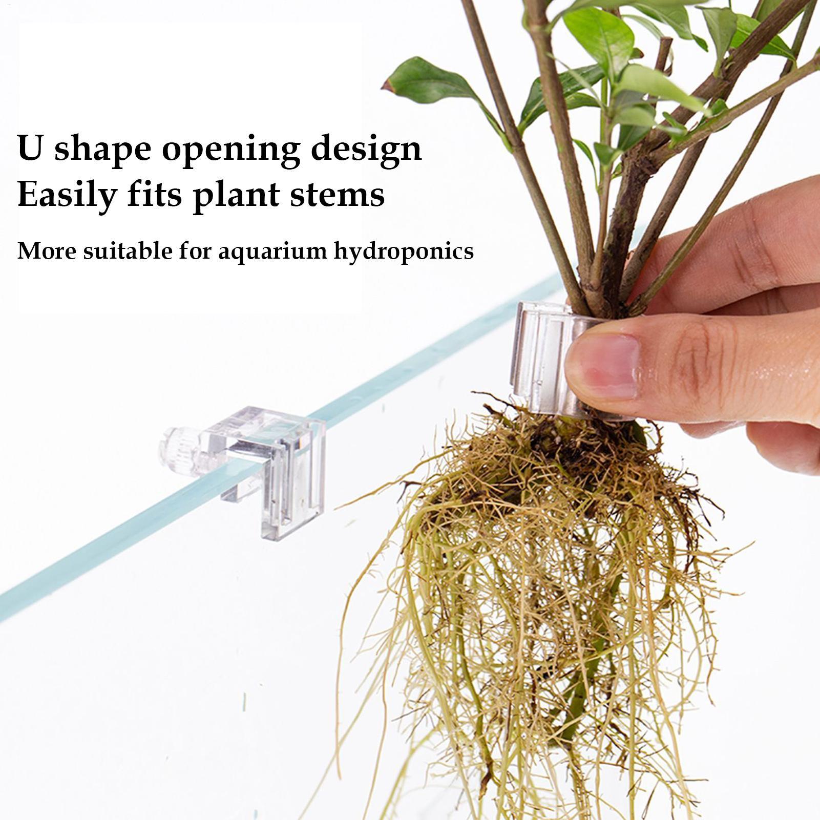 Supporto per Piante da Acquari - Aquarium Planted Soil recensione e prezzo