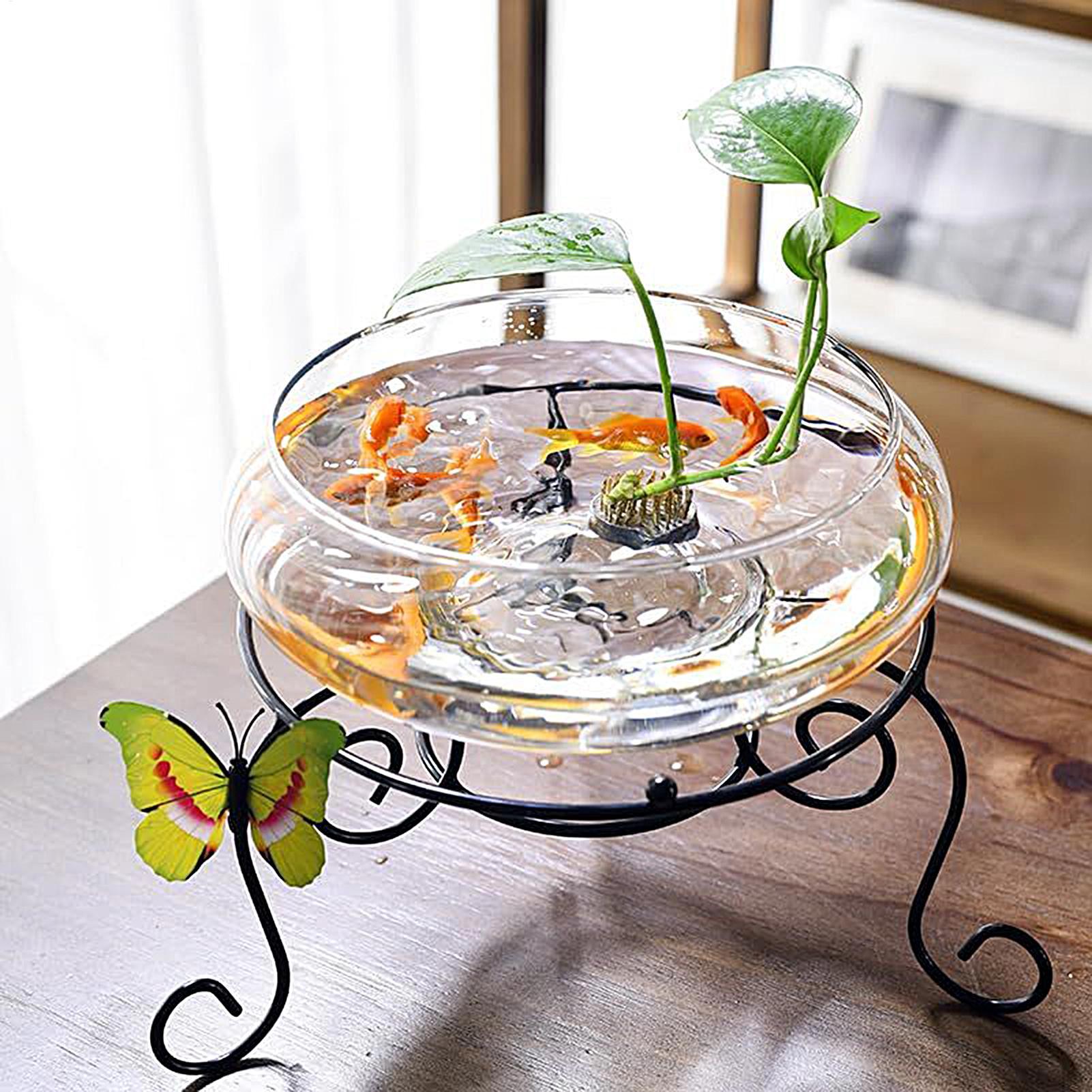Vaso in vetro per pesci, grand - Planted Aquarium Bowl recensione e prezzo