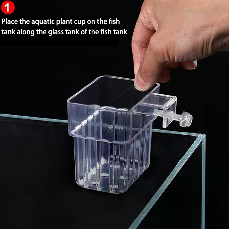 Multifunzionale Fish Aquarium  - Aquarium Planted Fish recensione e prezzo