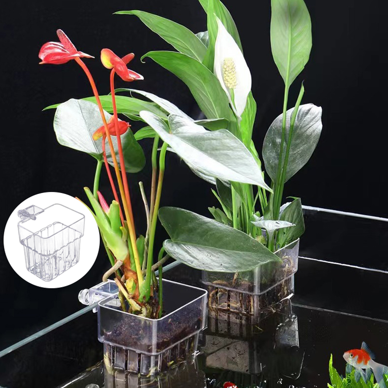Multifunzionale Fish Aquarium  - Aquarium Planted Fish recensione e prezzo