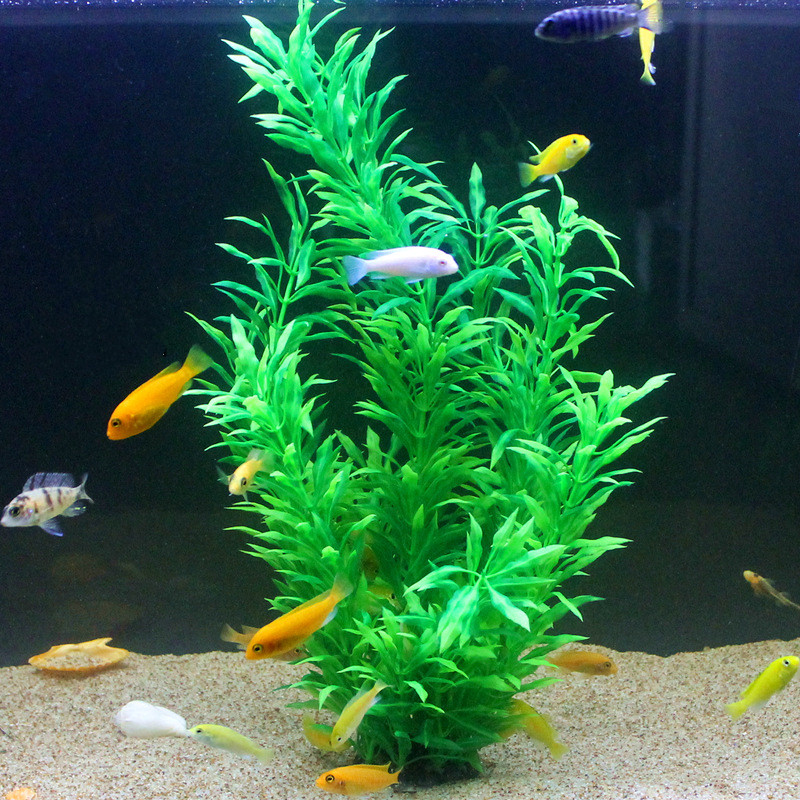 50CM Acquario artificiale Pian - Aquarium Plant Design recensione e prezzo
