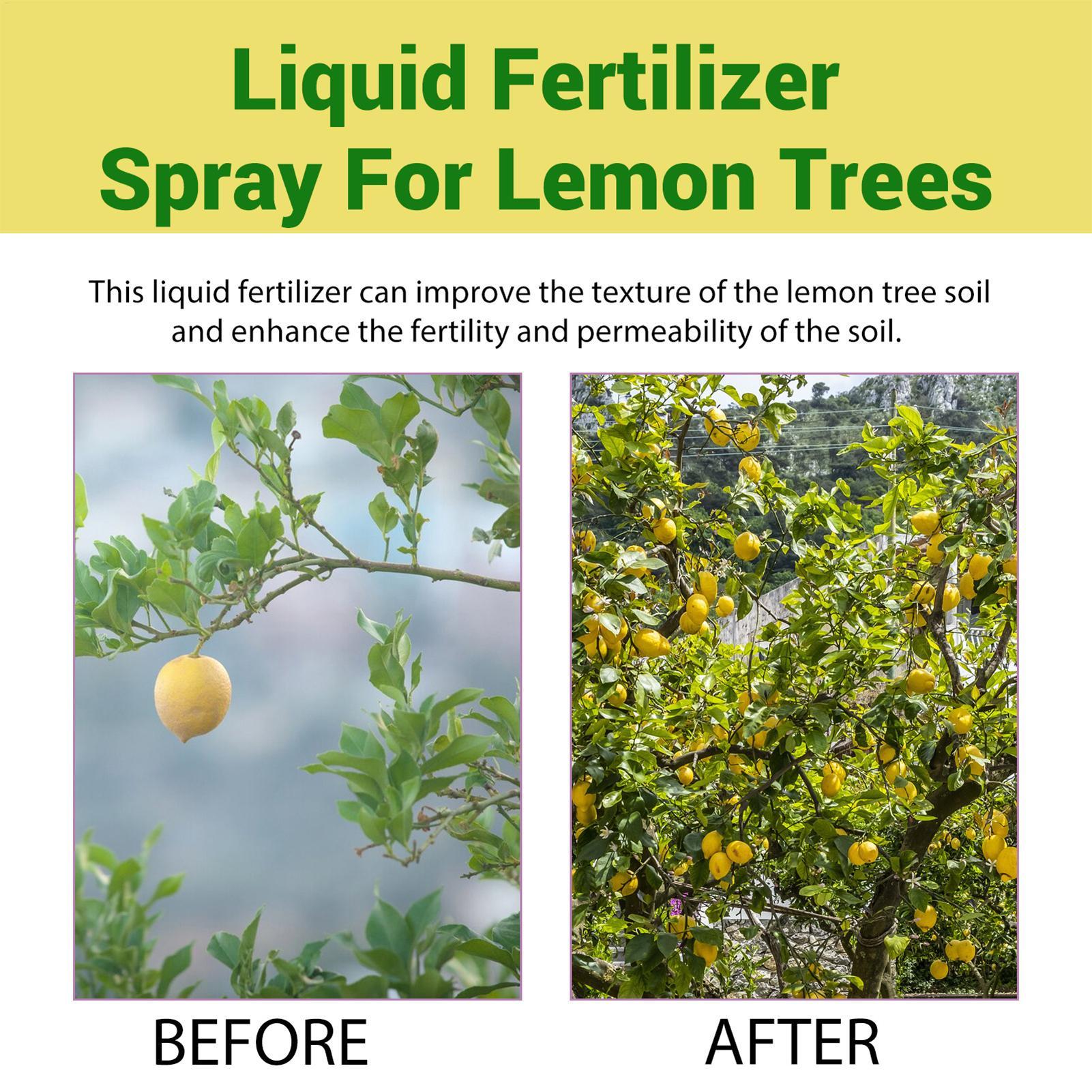 Fertilizzante Liquido Organico - Liquid Fertilizer All In recensione e prezzo
