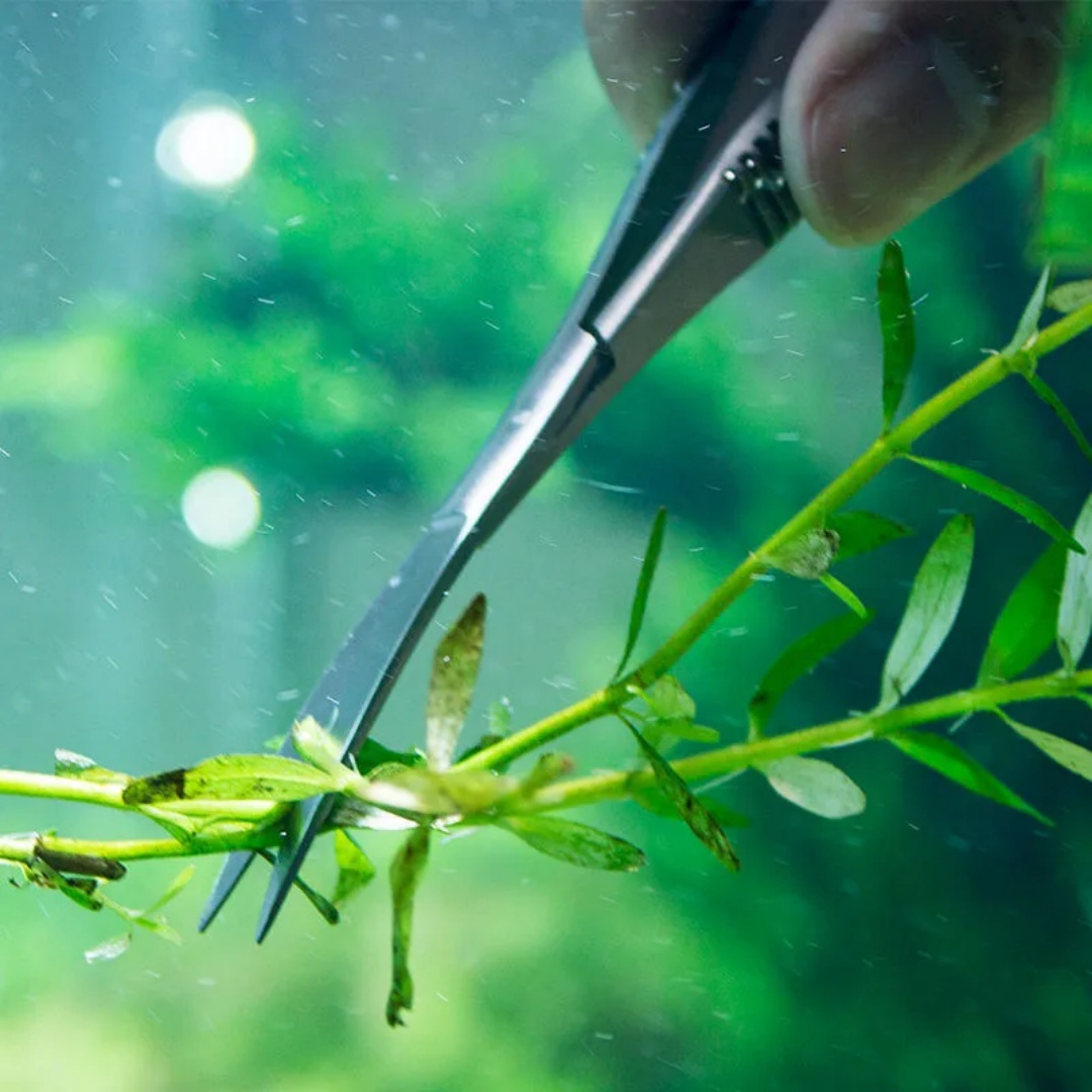 Forbici a molla curve e diritt - Planted Aquarium Maintenance Kit recensione e prezzo