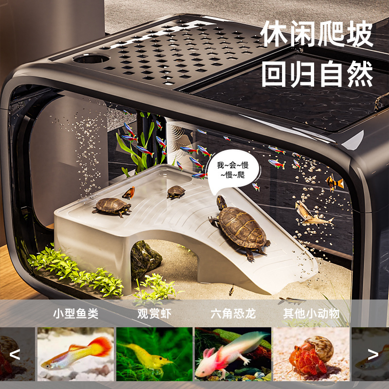 Accessori per Acquario, Decora - Planted Aquarium Bowl recensione e prezzo