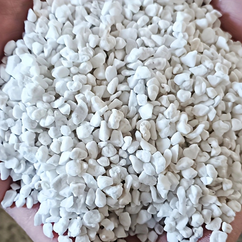 1 Confezione di Perlite Ortico - Tissue Culture Plant recensione e prezzo
