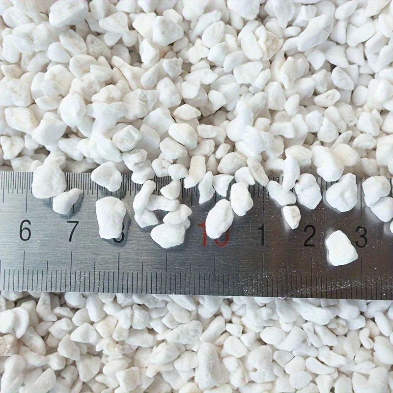 1 Confezione di Perlite Ortico - Tissue Culture Plant recensione e prezzo