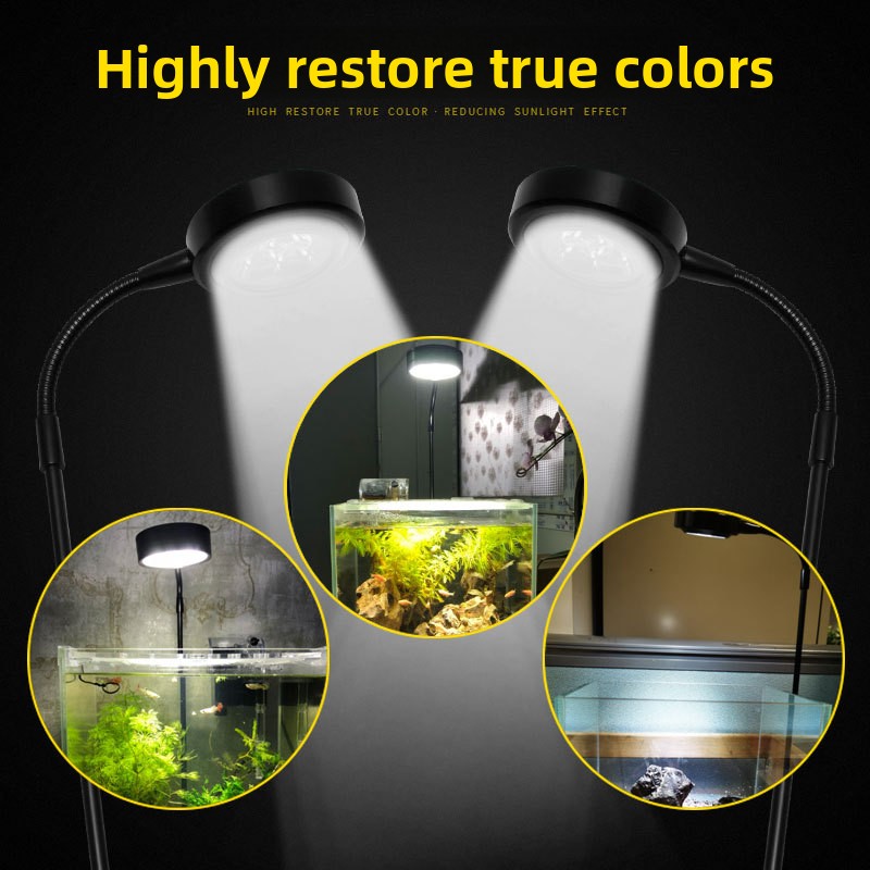 Faretto USB a Dimmerazione Tem - Aquarium Plant On Wood recensione e prezzo