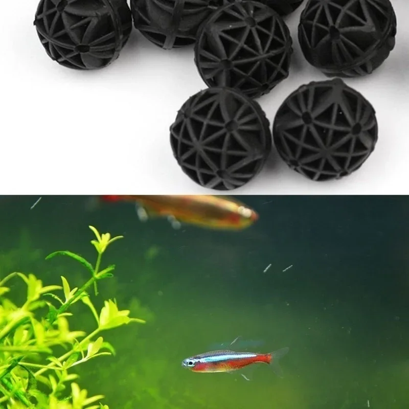 20 Pz 16mm Acquario Filtro Bio - Aquarium Planted Fish recensione e prezzo