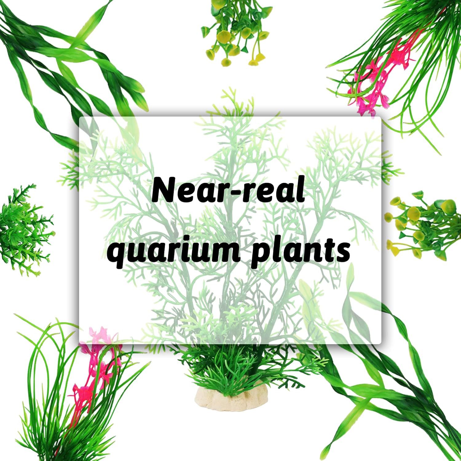 Set di piante artificiali per  - Planted Aquarium For Beginners recensione e prezzo