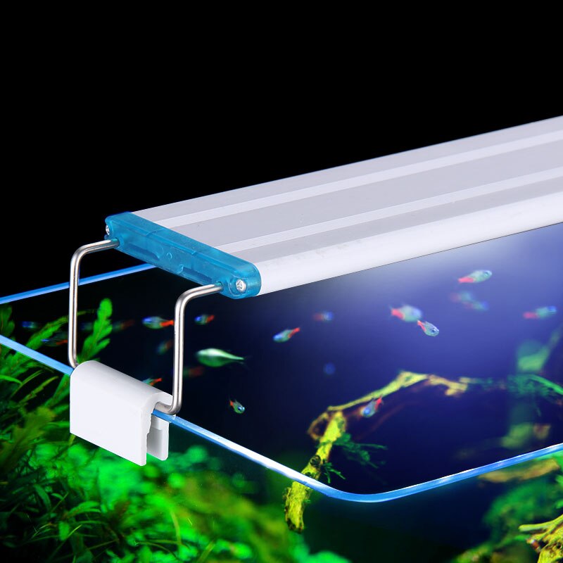 Clip impermeabile estensibile  - Aquarium Plant Iron recensione e prezzo