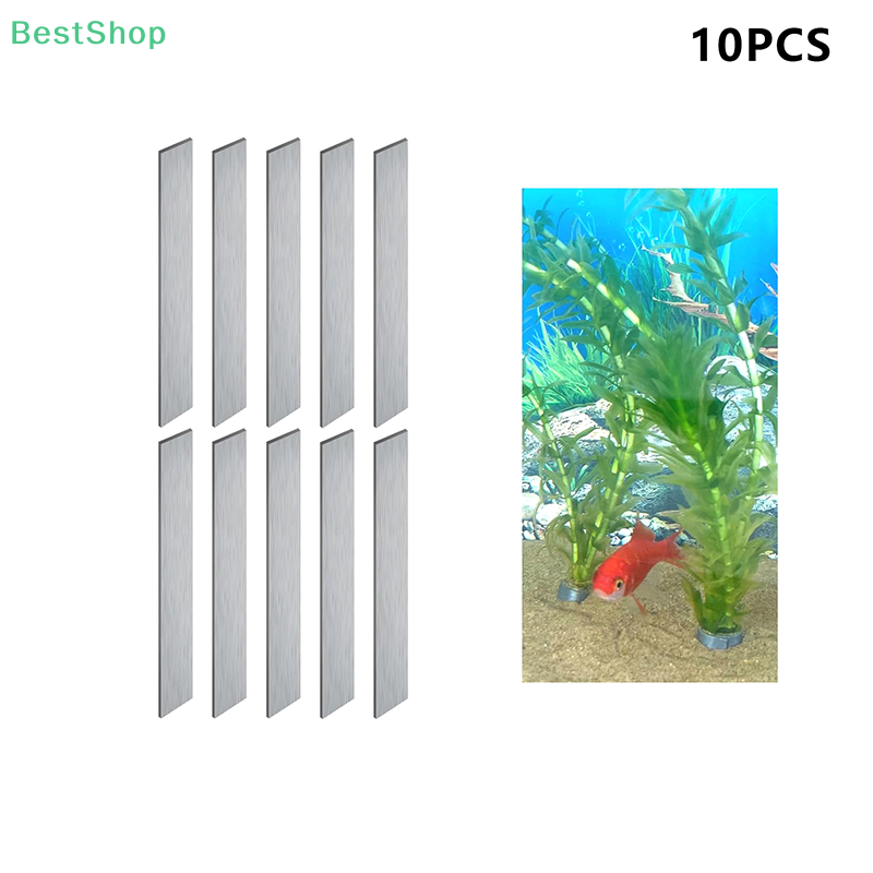 Pesi flessibili per piante d'a - Aquarium Planted Fish recensione e prezzo