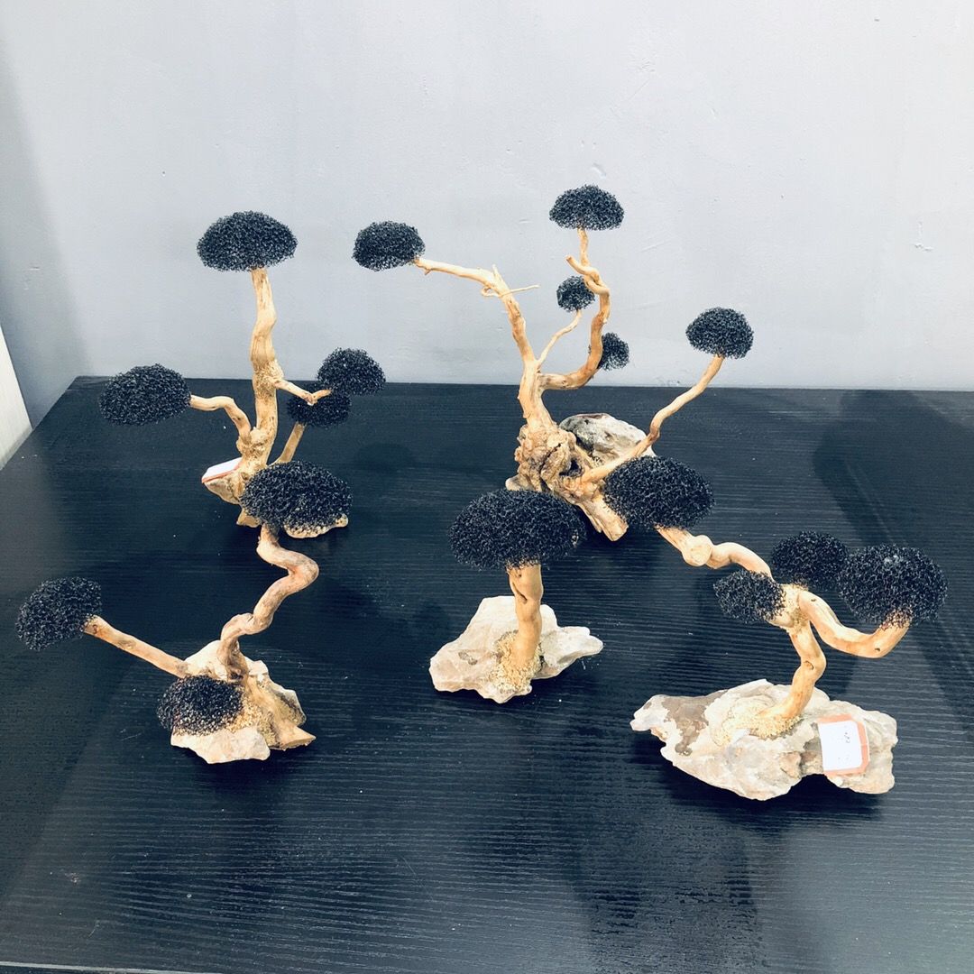 Decorazione dell'acquario Musc - Planted Aquarium With Driftwood recensione e prezzo