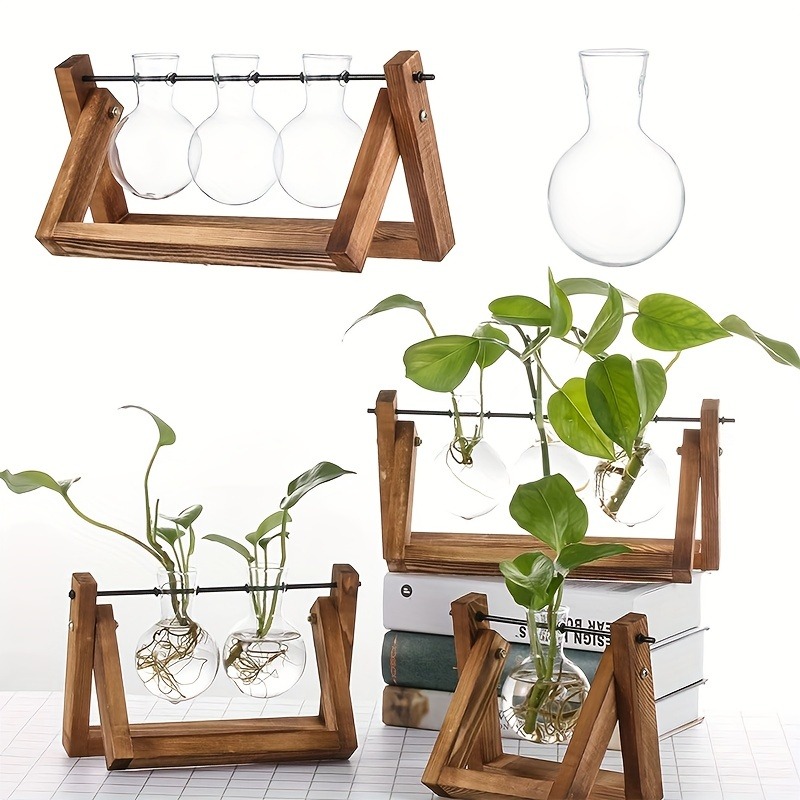 Fioriera da tavolo in vetro St - Tissue Culture Plant recensione e prezzo