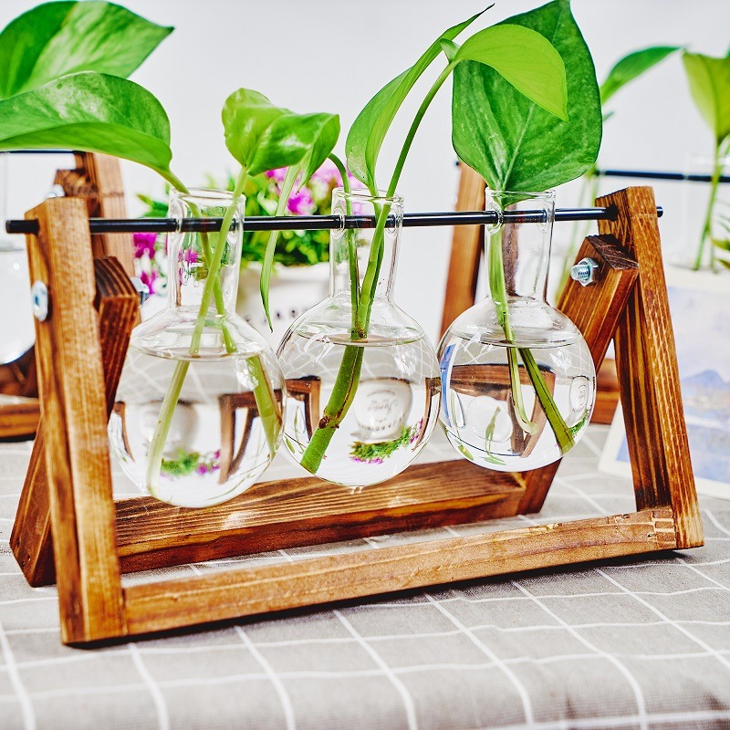 Fioriera da tavolo in vetro St - Tissue Culture Plant recensione e prezzo