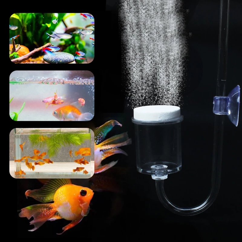 Set da 4 pezzi diffusore di CO - Planted Aquarium Supplies recensione e prezzo