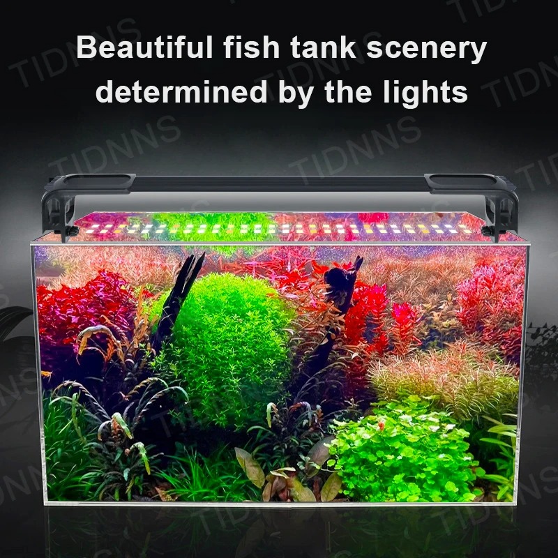 Acquario Luce Led Pianta Colti - Aquarium Plant Iron recensione e prezzo