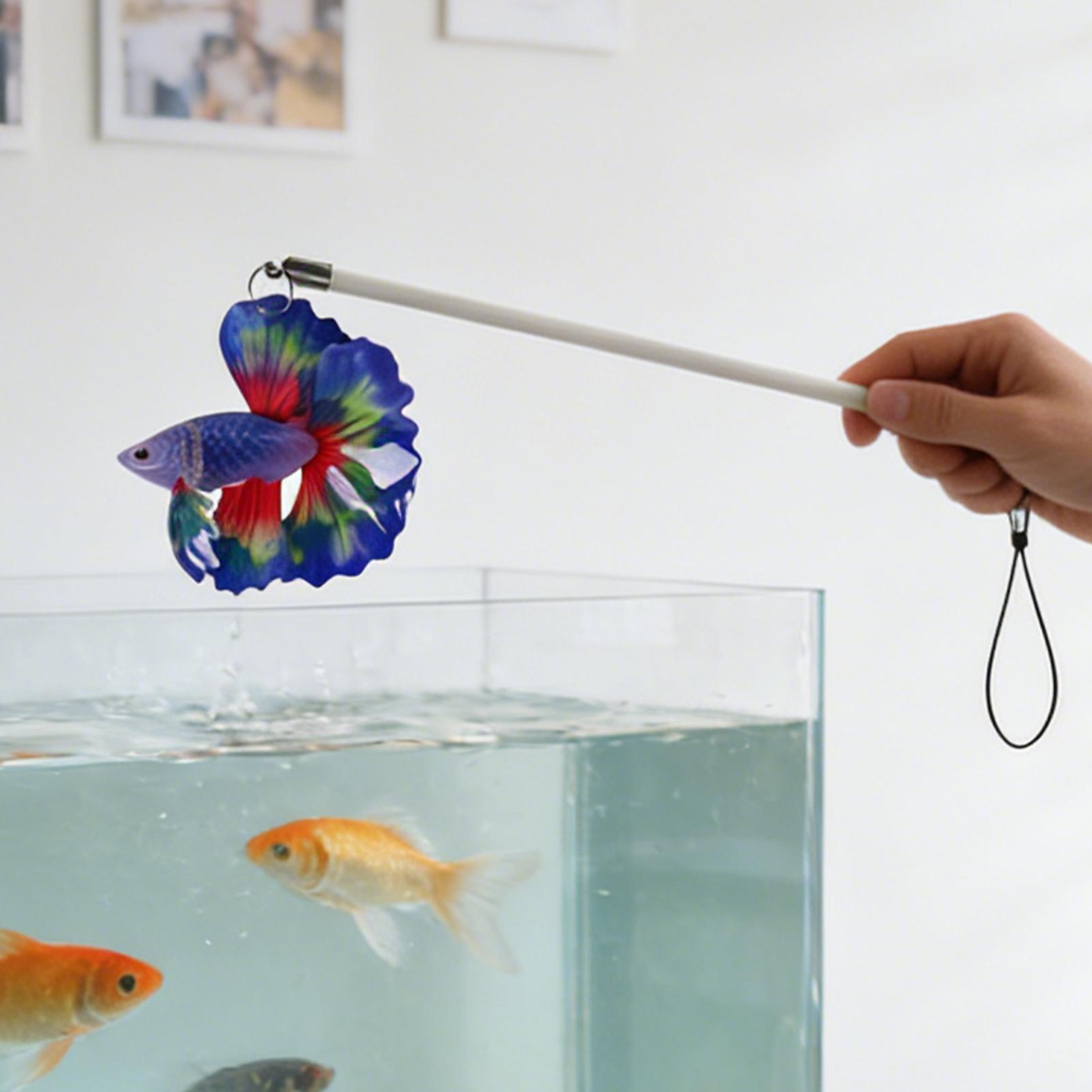 Bastoncino per l'allenamento d - Planted Aquarium For Beginners recensione e prezzo