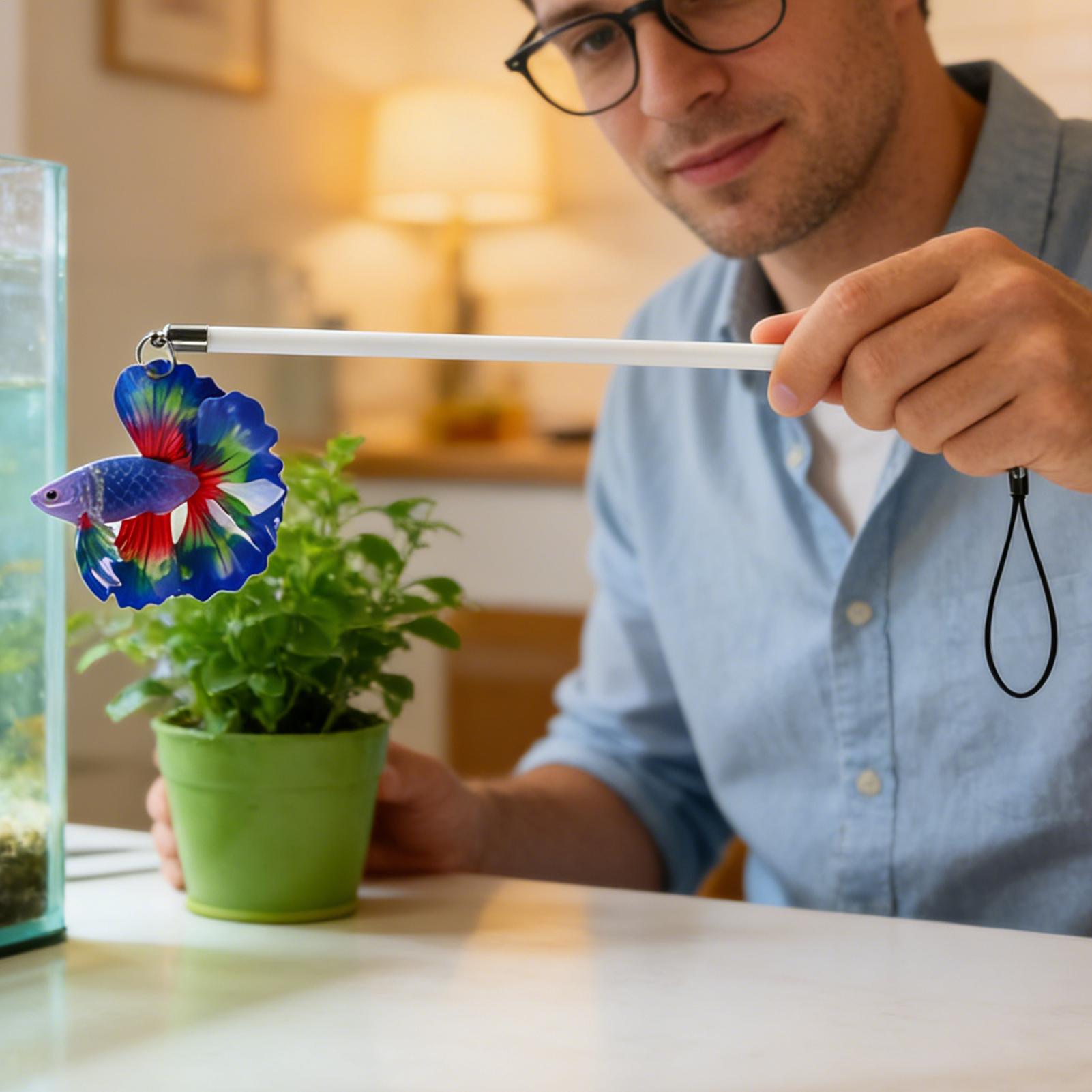 Bastoncino per l'allenamento d - Planted Aquarium For Beginners recensione e prezzo